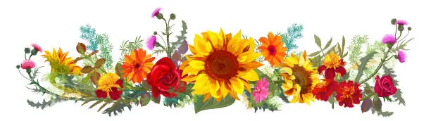 Vector illustration of Horizontal autumn’s border: orange sunflowers, red roses, thistle, marigold (tagetes), gerbera daisy flowers, green twigs on white background. Illustration in watercolor style, panoramic view, vector