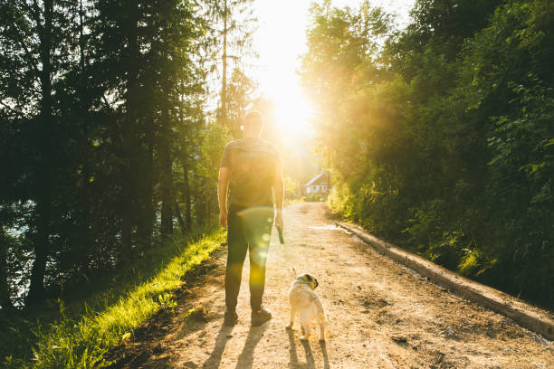 istock Man with backpack walking with his dog during bright sunset in Slovenia 1157766606