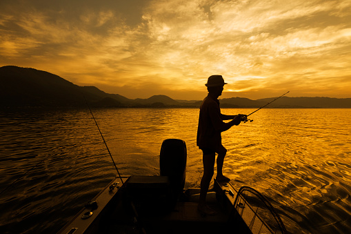 Fishing, Lake, Summer, Fisherman