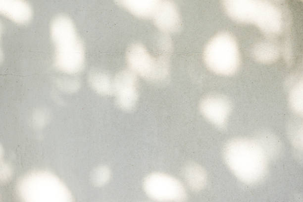 istock abstract background texture of shadows palm leaves on a concrete wall 1157767381