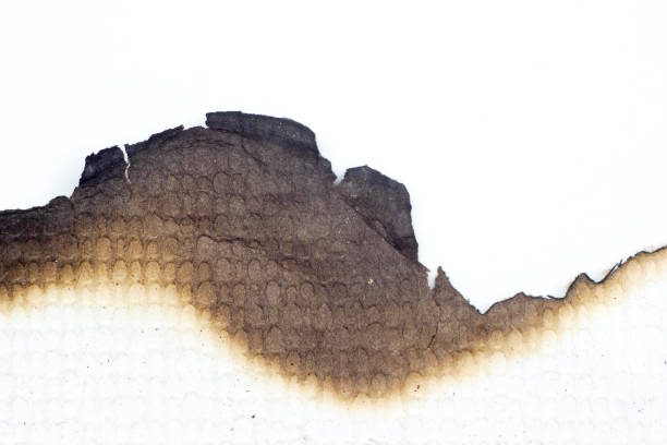 istock paper burned old grunge abstract background texture 1157768432