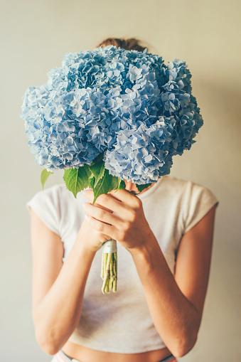 Girl holds in front of her a lush bouquet of blue hydrangea, florist with flowers on pastel background, person hides his face behind a bouquet.