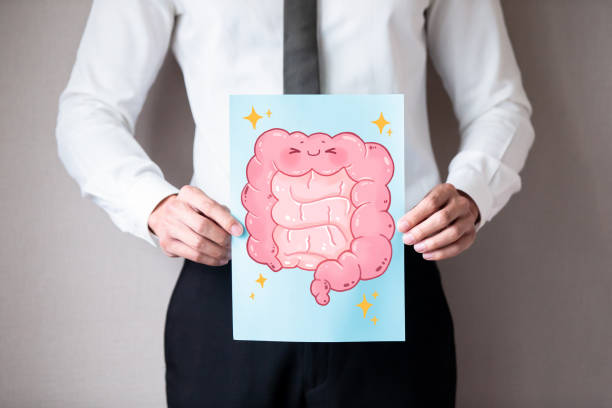 istock businessman with healthy  intestine 1157769626