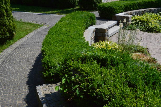 istock Landscape design of flower arrangements 1157770094