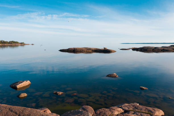 l'île du golfe de finlande. jour d'été calme. les mouettes volent - archipel photos et images de collection