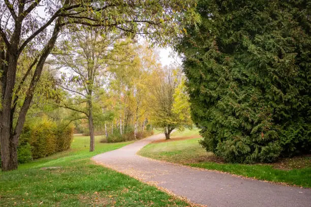 Photo of Beautiful foliage in the park of Echternach