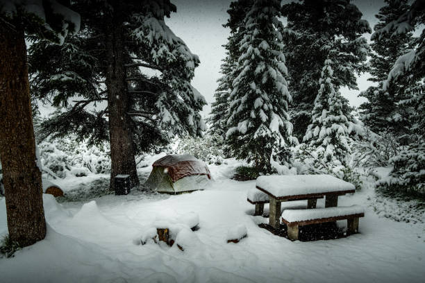 camping in the canadian rockies. - tangle falls imagens e fotografias de stock