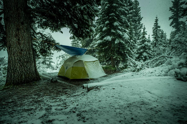 acampando nas montanhas rochosas canadenses. - tangle falls - fotografias e filmes do acervo