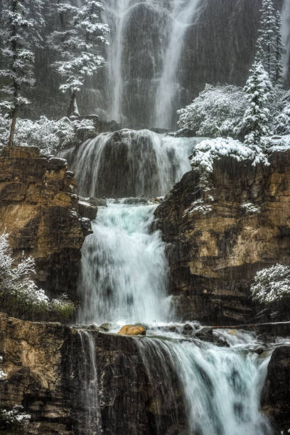 tangle falls, localizado nas montanhas rochosas canadenses, parque nacional de jasper, alberta canada. - tangle falls - fotografias e filmes do acervo