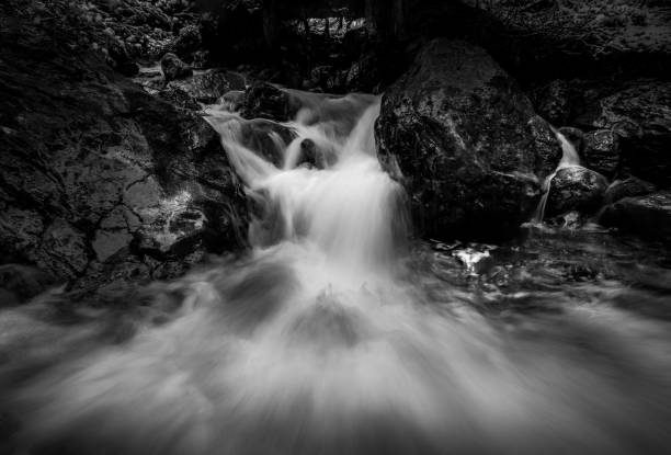 cachoeiras situadas no parkway de icefields, parque nacional do jaspe, alberta canadá. - tangle falls - fotografias e filmes do acervo