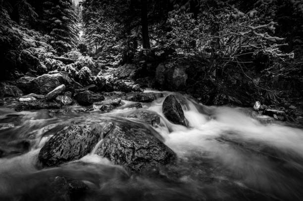 black and white waterfalls located along the icefields parkway and in the campsite. - tangle falls imagens e fotografias de stock