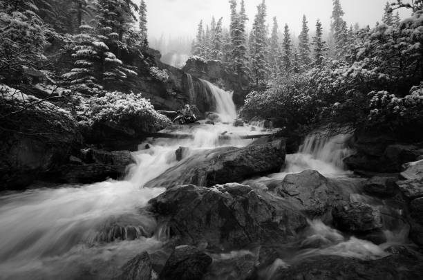 tangle falls, localizado nas montanhas rochosas canadenses, parque nacional de jasper, alberta canada. - tangle falls - fotografias e filmes do acervo
