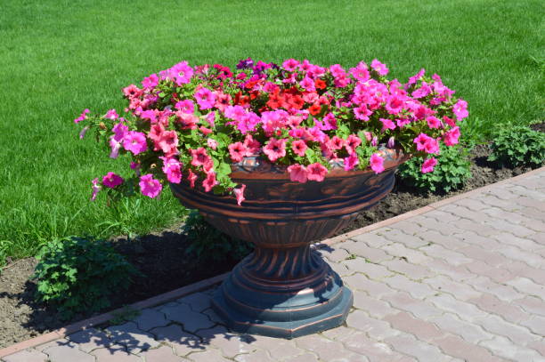 istock Flower bouquets in flowerpots of different compositions 1157777185