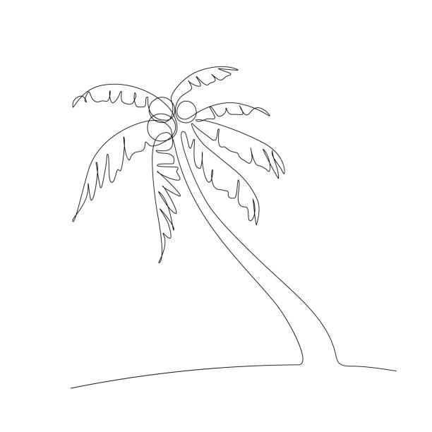 Palm tree Palm tree in one line art drawing style. Black line sketch on white background. Vector illustration palm tree illustrations stock illustrations