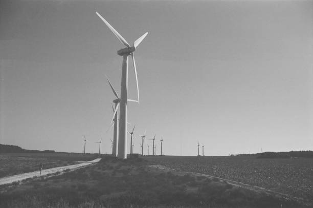 istock wind turbines for a more sustainable future bnw number two 1157781303