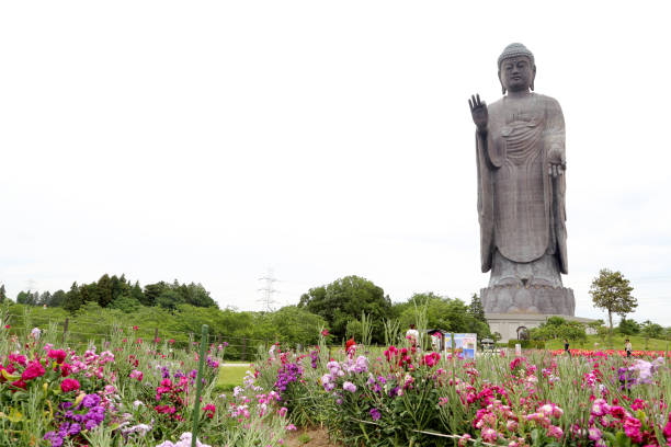 ushiku daibutsu - hase temple fotografías e imágenes de stock