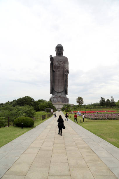 ushiku daibutsu - hase temple stock-fotos und bilder