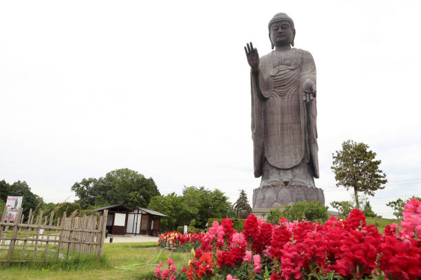 Ushiku Daibutsu Ushiku, Japan - May 28, 2019: The Great Buddha Ushiku Daibutsu statue is loacated Ibaraki Prefecture, Japan. kamakura city photos stock pictures, royalty-free photos & images
