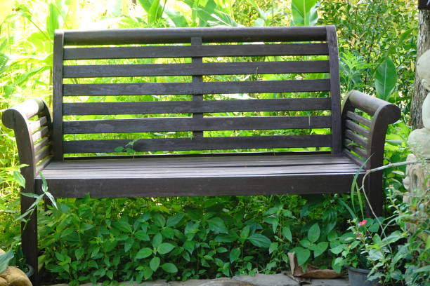Thailand, Autumn, Beauty, Bench, Branch - Plant Part