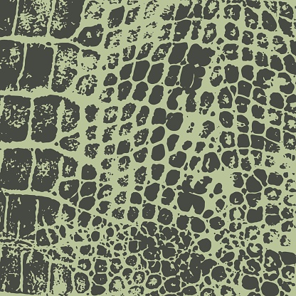 Crocodile skin. Vector texture. Imprint. Decorative background