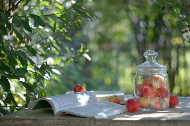 Composition with small red apples in a glass jar and an open book on a table top in a sunny summer garden. Still life with fruit. Copy space.