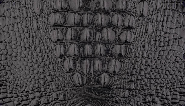 istock Imitation crocodile skin background 1157788448