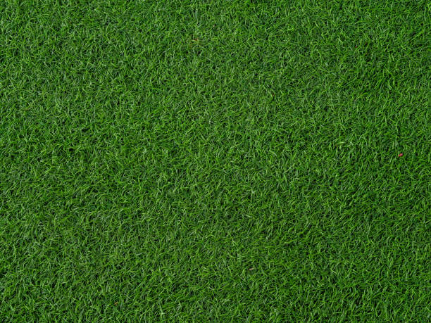 istock Artificial grass football field texture 1157790371
