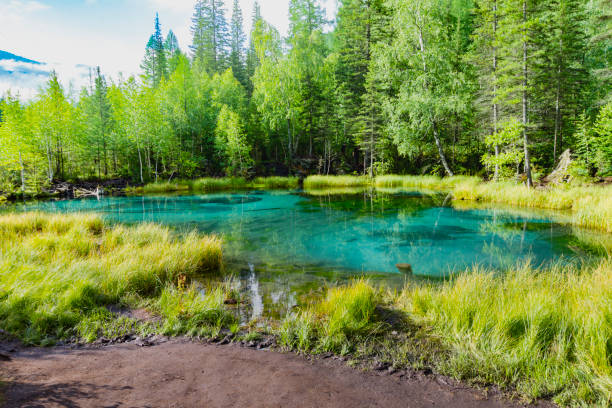 istock The green thermal lake 1157793322