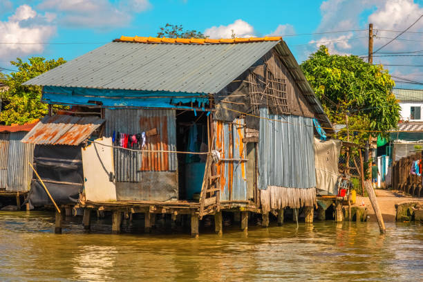 istock Mekong River Delta, Vietnam 1157794402