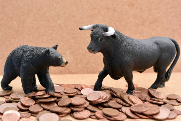 Bull vs Bear Market stock photo