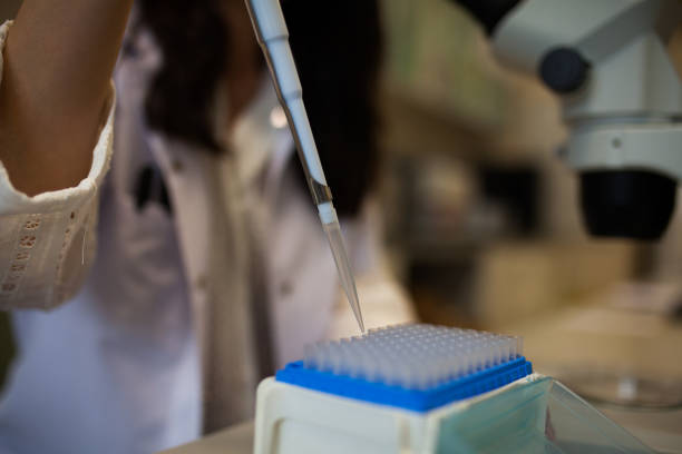 biology research scientist working in lab Petri dish for medical research laboratory bacterium petri dish cell stock pictures, royalty-free photos & images