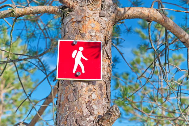 istock signs of hiking 1157798406