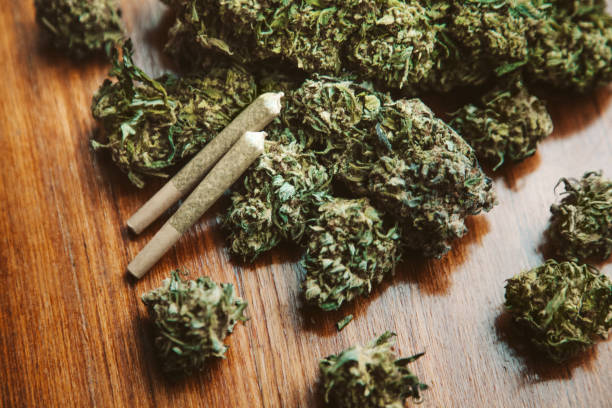 Foto de Junções Da Marijuana Com O Cannabis Que Coloca Na Tabela De Madeira  Na Loja Do Cannabis e mais fotos de stock de Cânhamo - Cannabaceae - iStock