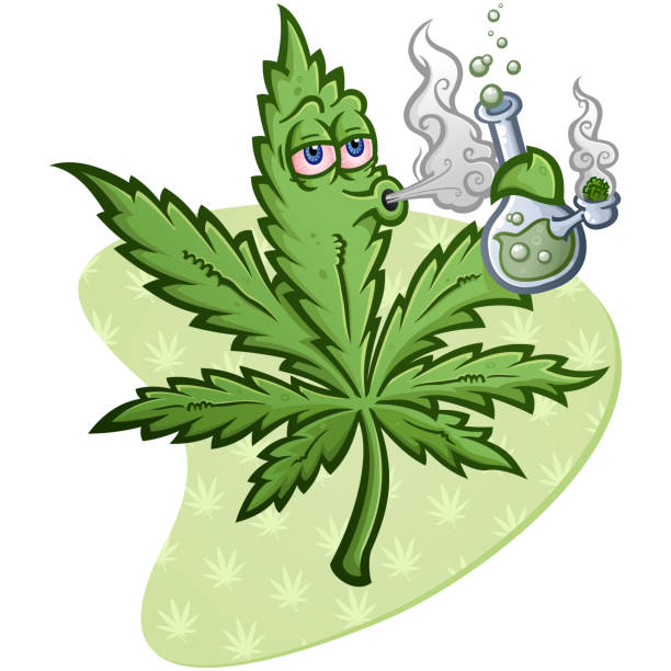 Marijuana Leaf Vector Cartoon Character Smoking a Bong A cheerful pot vector cartoon character getting high and smoking a glass water bong with a packed bowl bong stock illustrations