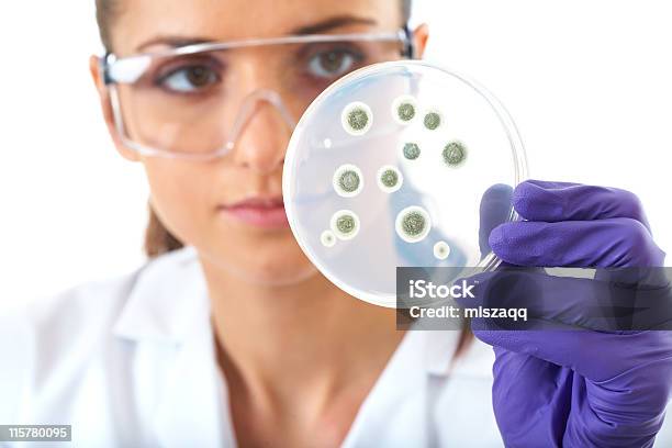 Joven Atractiva Asistente De Laboratorio De Placa De Petri Con Bacteria Foto de stock y más banco de imágenes de Ciencia