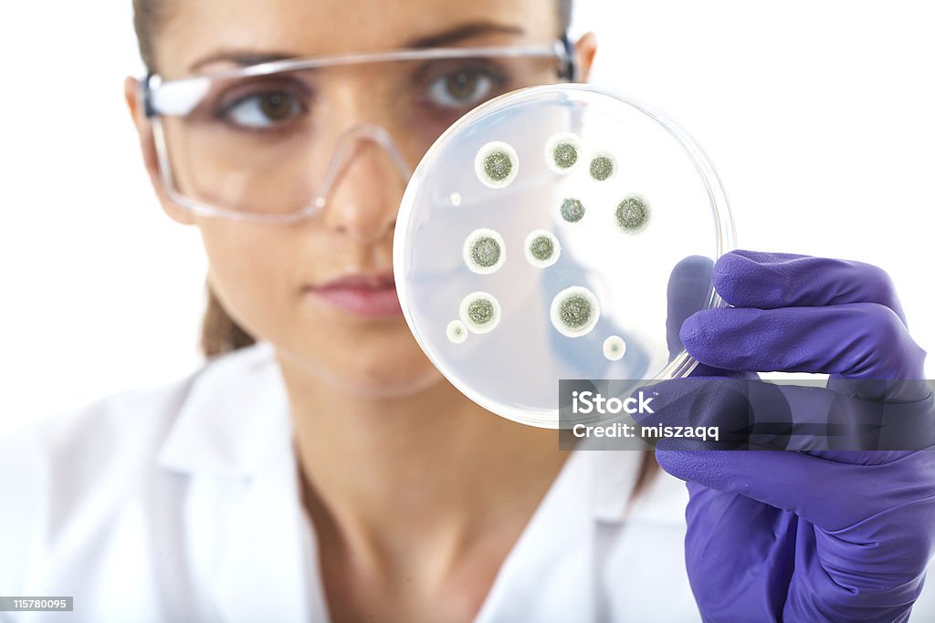 Woman in lab coat and glove checking bacteria in petri dish young attractive laboratory assistant check petri dish with agar and bacterium on it, isolated on white Close-up Stock Photo