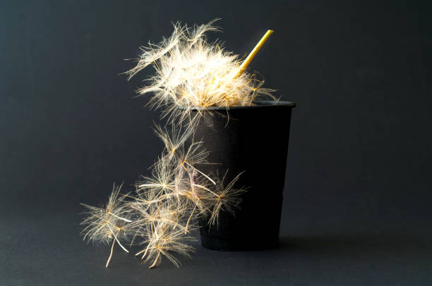 istock Paper disposable cup and dandelion inflorescence on black background. 1157802870