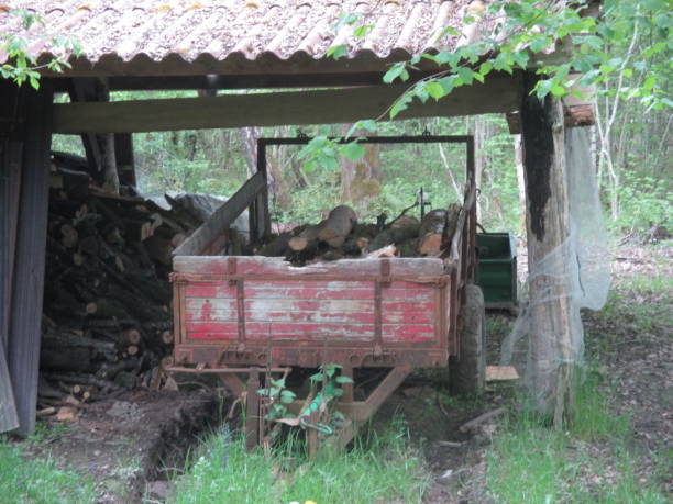 istock Trailer with cut timber under a shed  Rural Scene 1157804314