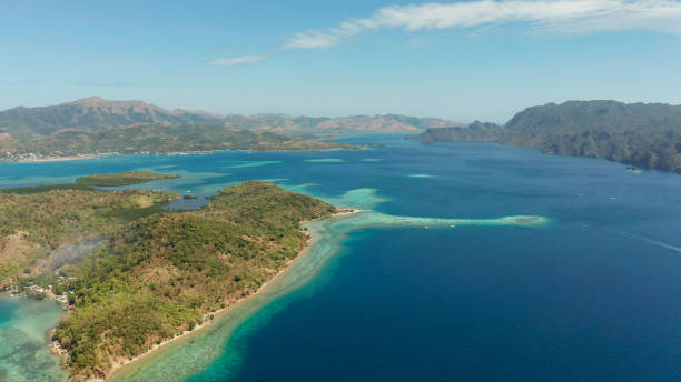 istock tropical island with sandy beach, Philippines, Palawan 1157804558