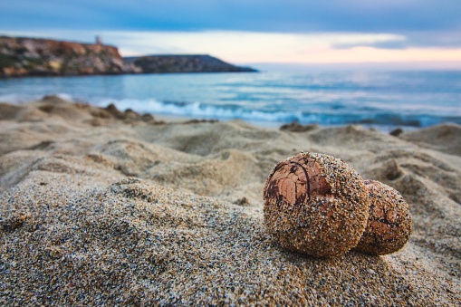 Close-up of champagne cork on a sandy beach with the sea in the background