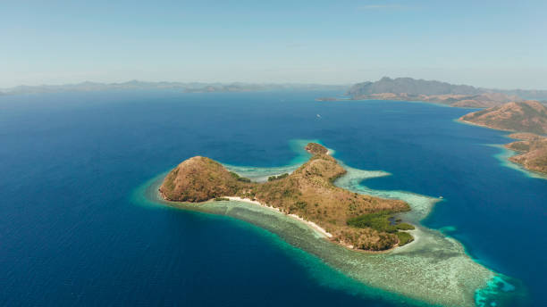 istock tropical island with sandy beach, Philippines, Palawan 1157804713