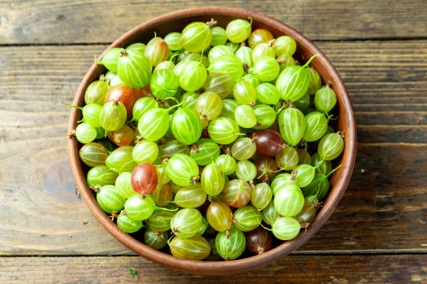 istock ripe green and red gooseberries 1157806293