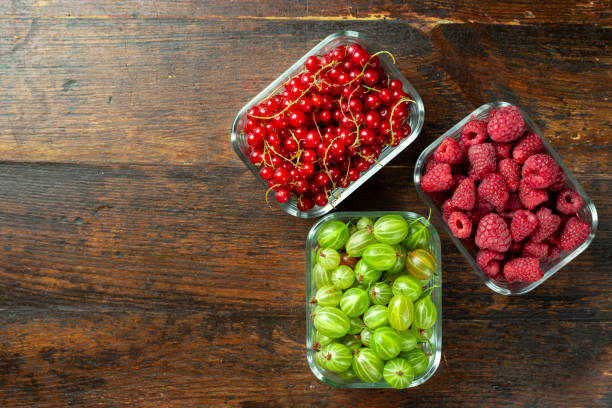 different summer berries red currant, gooseberry, raspberry in glass trays. - berry fruit currant variation gooseberry imagens e fotografias de stock