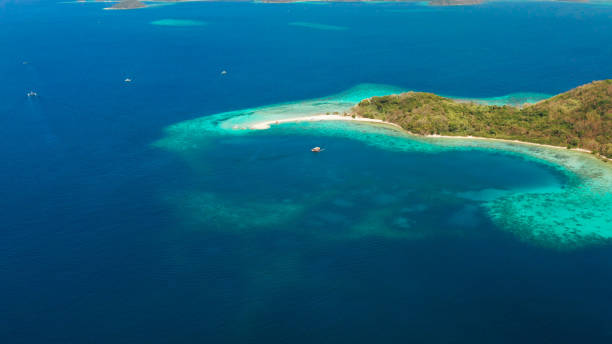 istock tropical island with sandy beach, Philippines, Palawan 1157806616