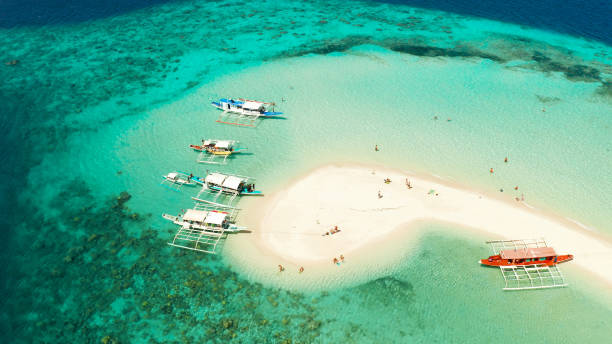 istock tropical island with sandy beach, Philippines, Palawan 1157806675