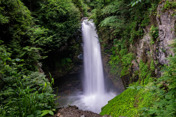 istock Palovit Waterfall in Camlihemsin Rize, Turkey. 1157807051