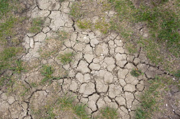 seca de verão do solo seca - dirt eroded nature abstract nature - fotografias e filmes do acervo