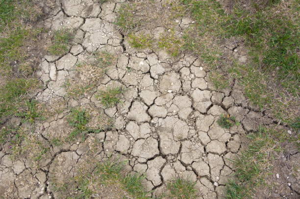 сухая почвенная летняя засуха - global warming cracked dirt earth стоковые фото и изображения