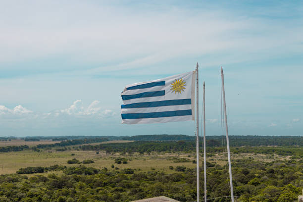 istock uruguayan flag against blue sky 1157814662