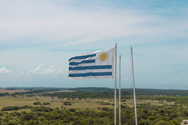istock uruguayan flag against blue sky 1157814665